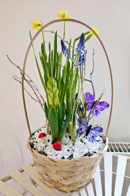 Aranjamente cu plante